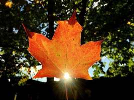 Sept 3rd Newsletter