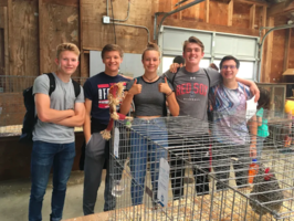 October 11 newsletter