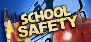 Safety Incident Hall-Dale MSHS