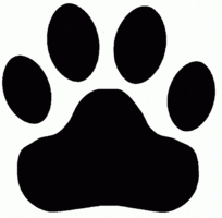 The May Bobcat Beat is here!