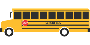 MBES bus routes 2019/20